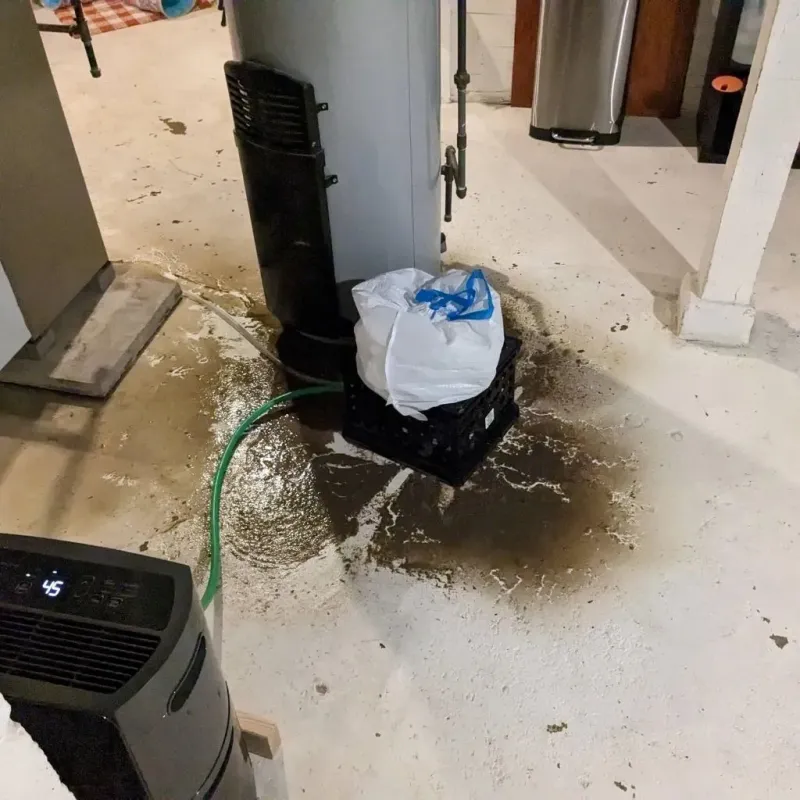Sewage Backup Cleanup Service in Hooper Bay, AK